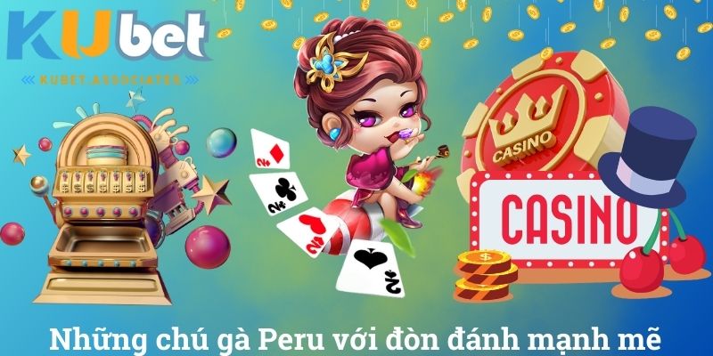 Những chú gà Peru với đòn đánh mạnh mẽ