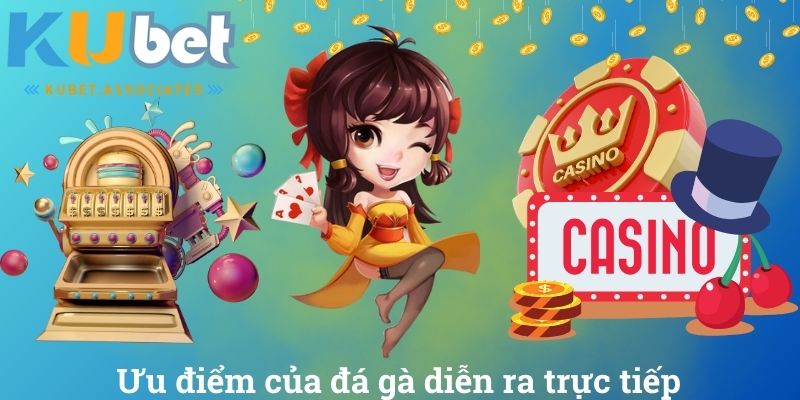 Ưu điểm của đá gà diễn ra trực tiếp