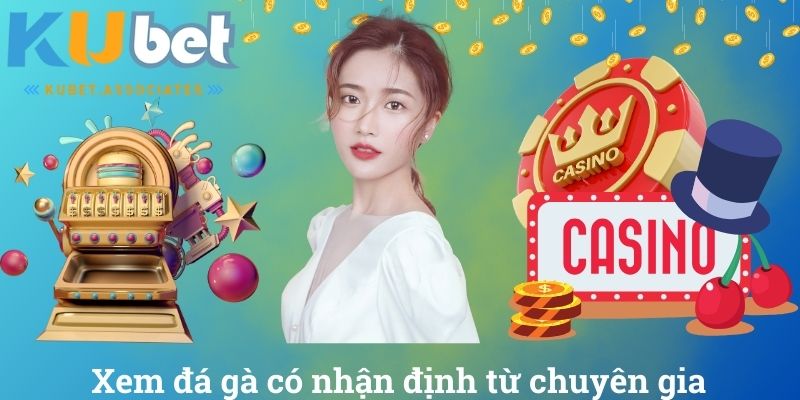 Xem đá gà có nhận định từ chuyên gia